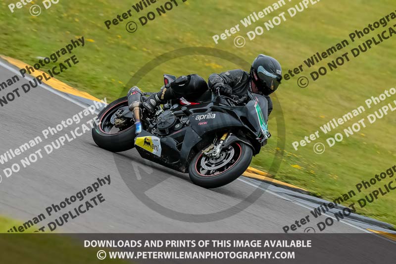 PJ Motorsport 2019;anglesey no limits trackday;anglesey photographs;anglesey trackday photographs;enduro digital images;event digital images;eventdigitalimages;no limits trackdays;peter wileman photography;racing digital images;trac mon;trackday digital images;trackday photos;ty croes